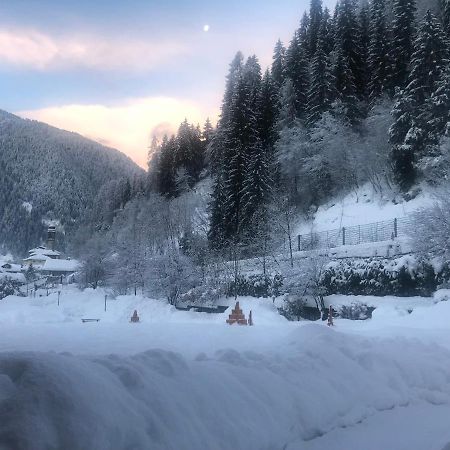 Holidays Dolomiti Apartment Resort Carisolo Ngoại thất bức ảnh